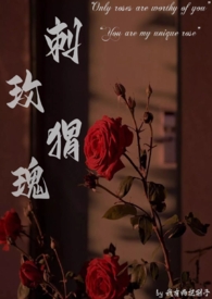 刺猬玫瑰(高干)